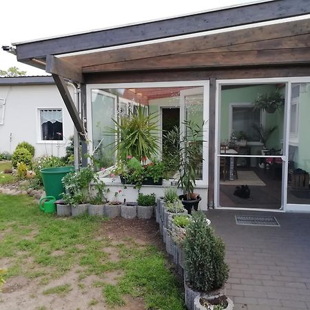 Ferienwohnung Zur Alten Schule Pritzwalk Εξωτερικό φωτογραφία